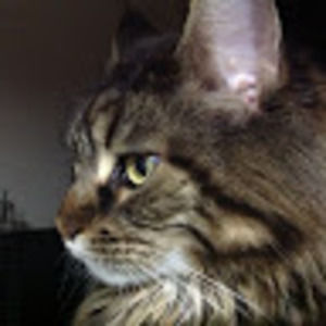 Meet your Posher, Terri